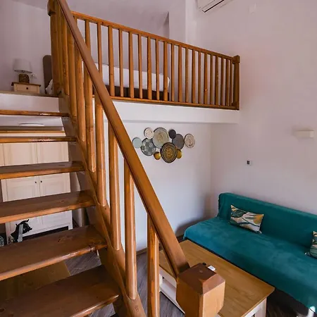 Rezidenta Obligado * Timisoara