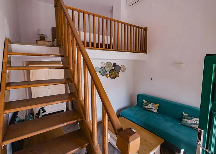 Rezidenta Obligado * Timişoara